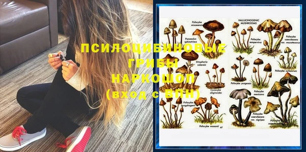 соль ск Верея